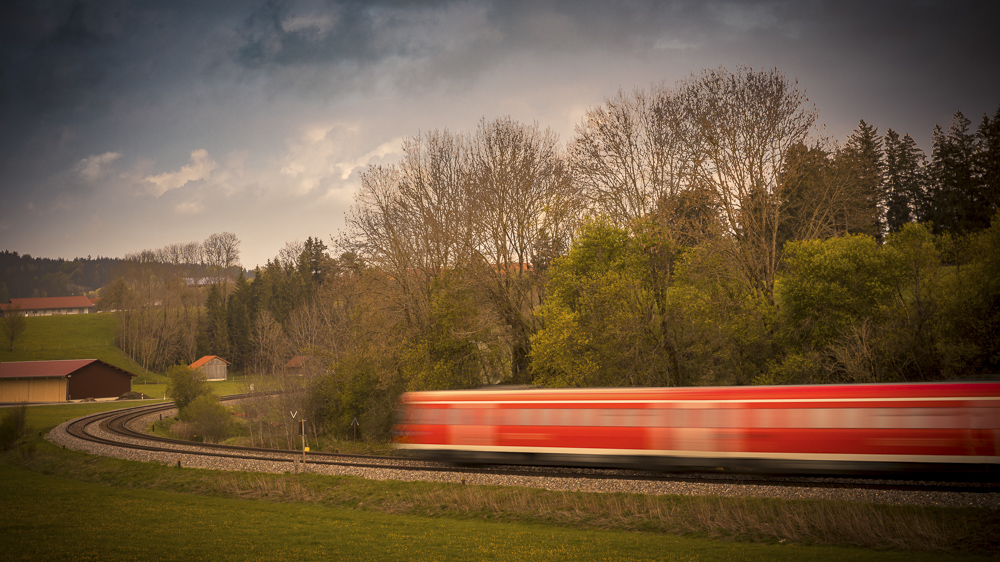 Platz 11 Anton Kienle